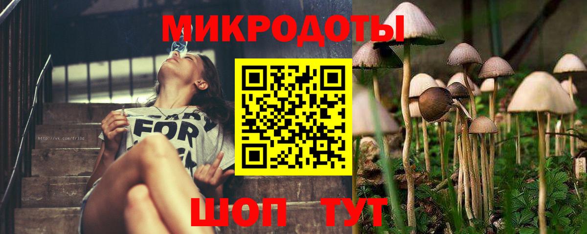 Галлюциногенные грибы ЛСД Будённовск